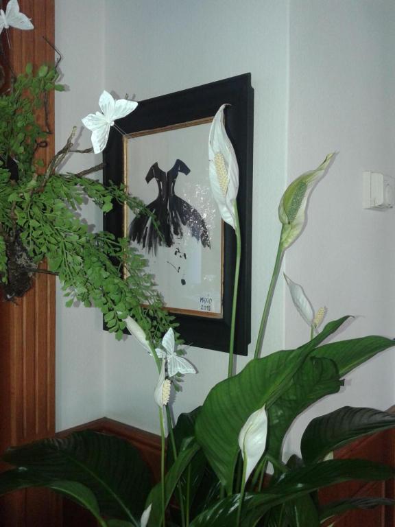 Balneum Boutique Hotel & B&B Баньо-ди-Романья Экстерьер фото